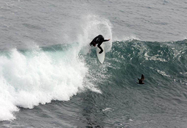 Surf en Curanipe - Actividad cerca de cabañas en Pelluhue